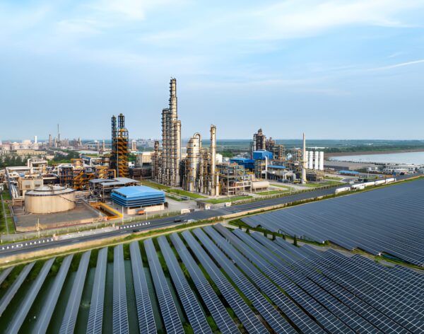 steptodown.com361518